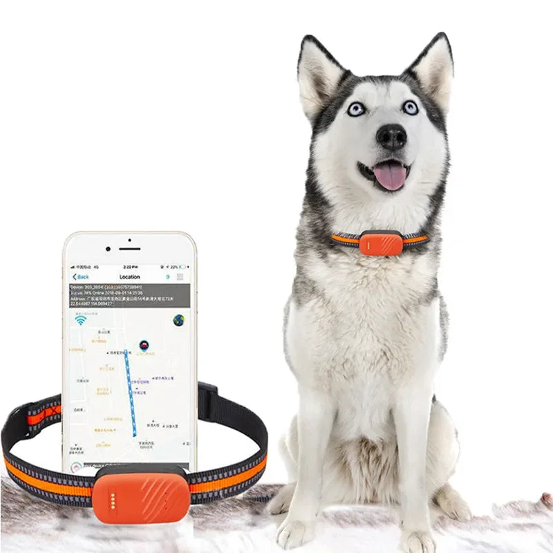 PawLink™ GPS