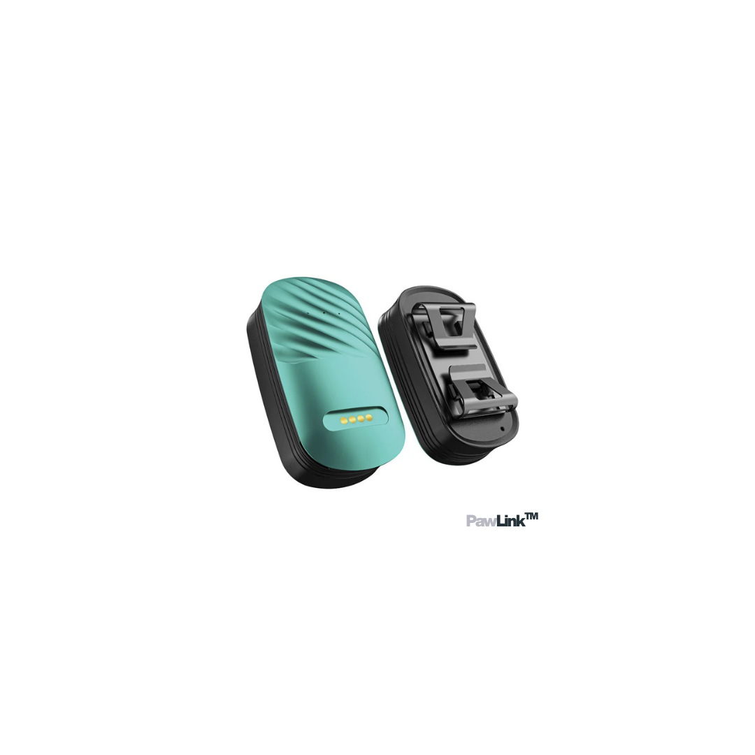 Two green and black electronic devices on a white background