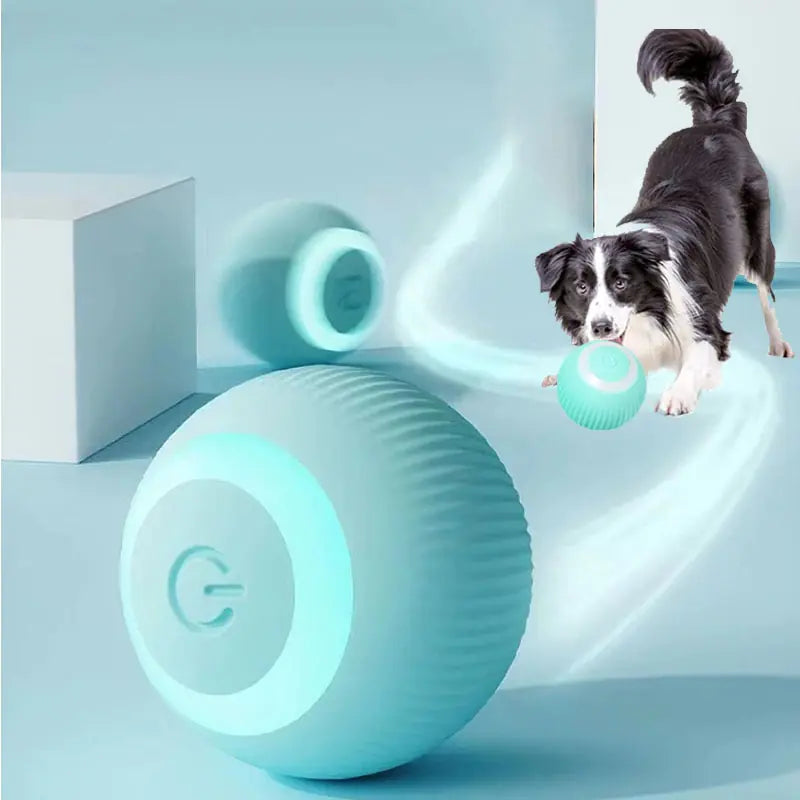 Rover Roller