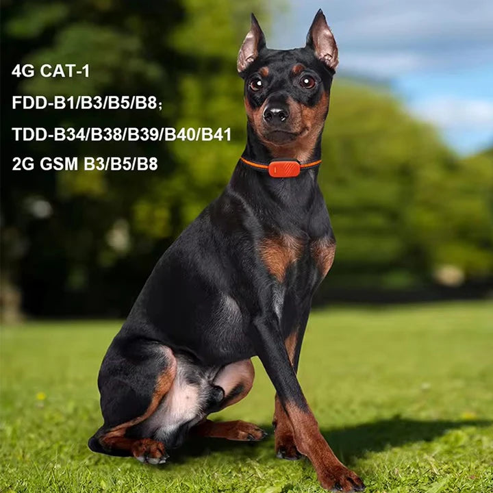 PawLink™ GPS