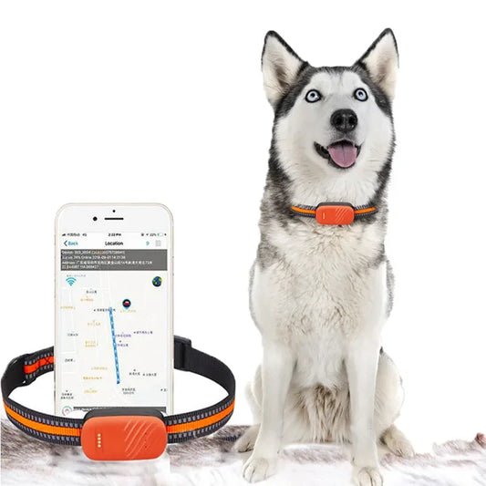 PawLink™ GPS