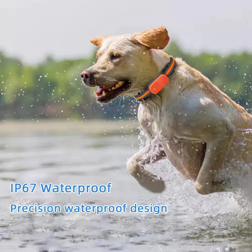 PawLink™ GPS